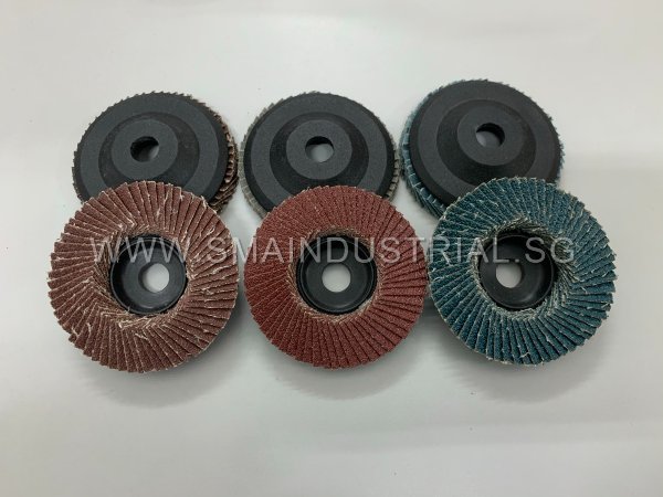 EstäR Abrasive Mini Flap Disc